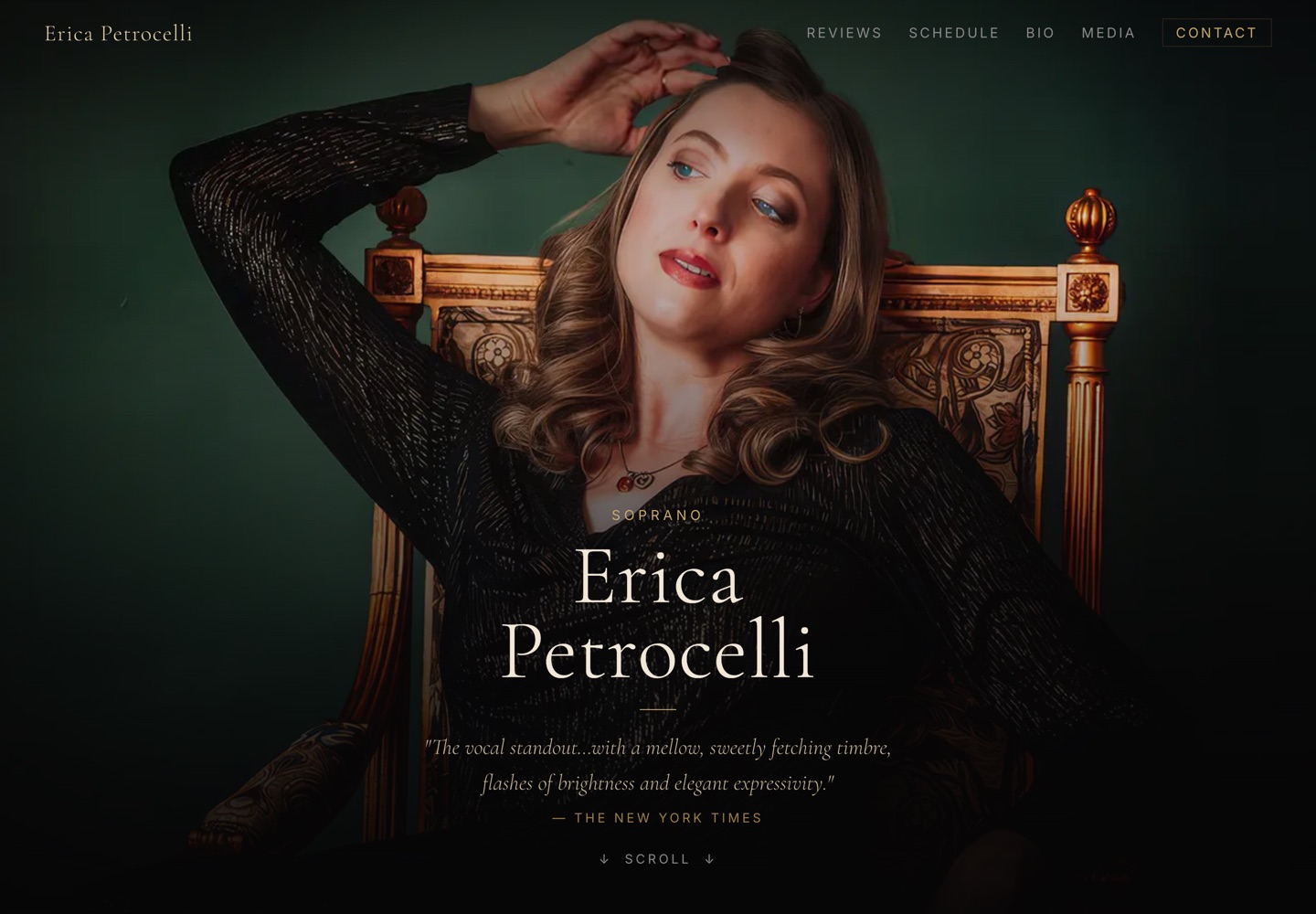 The Erica Petrocelli website